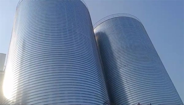 三河2座混凝土高架卷板仓